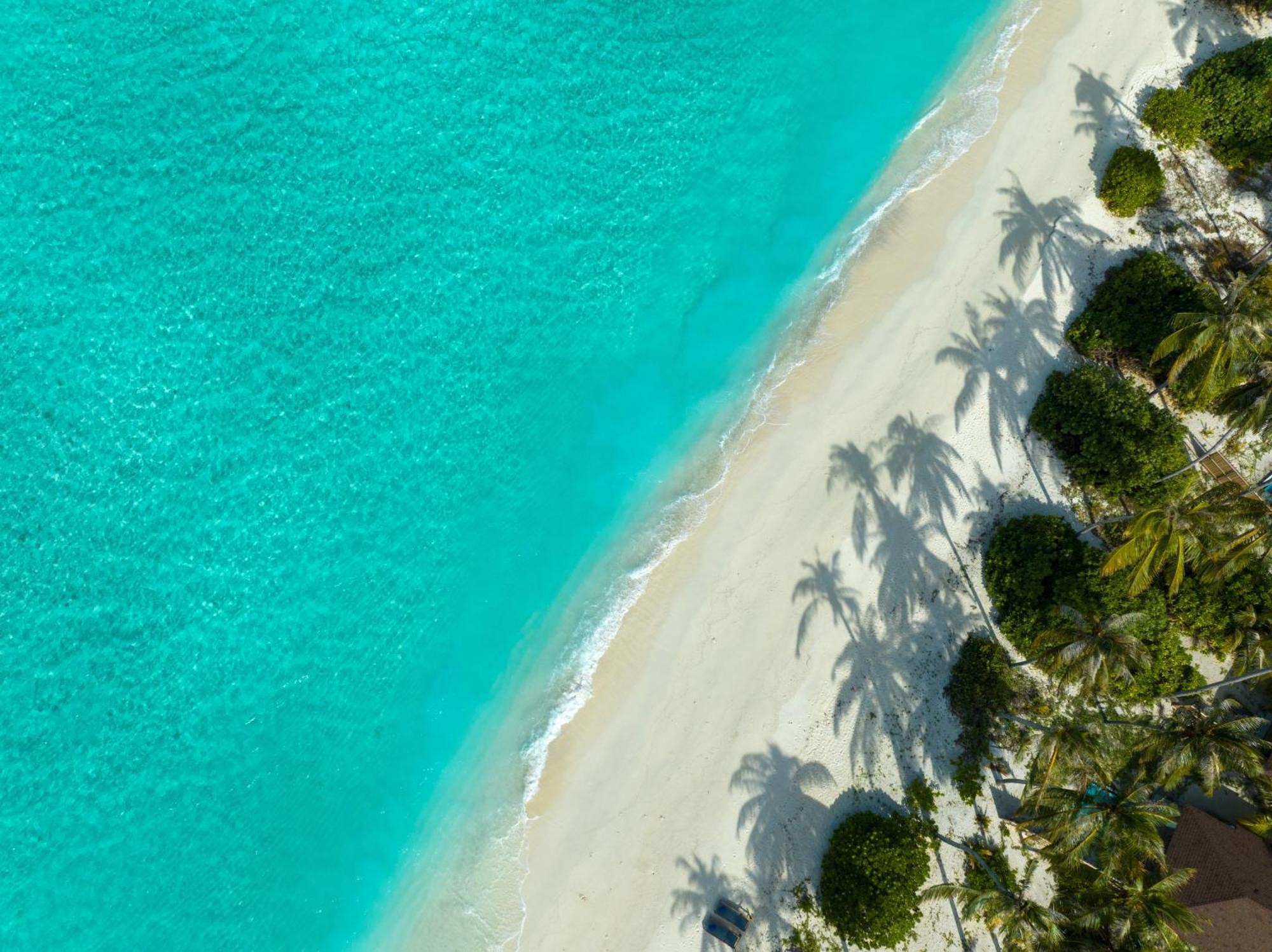 Avani Plus Fares Maldives Resort - 50 Percent Off On Seaplane Transfer For Minimum Stay Of 3 Nights And More For Stays Until 31 October 2025 Kendhoo Room photo